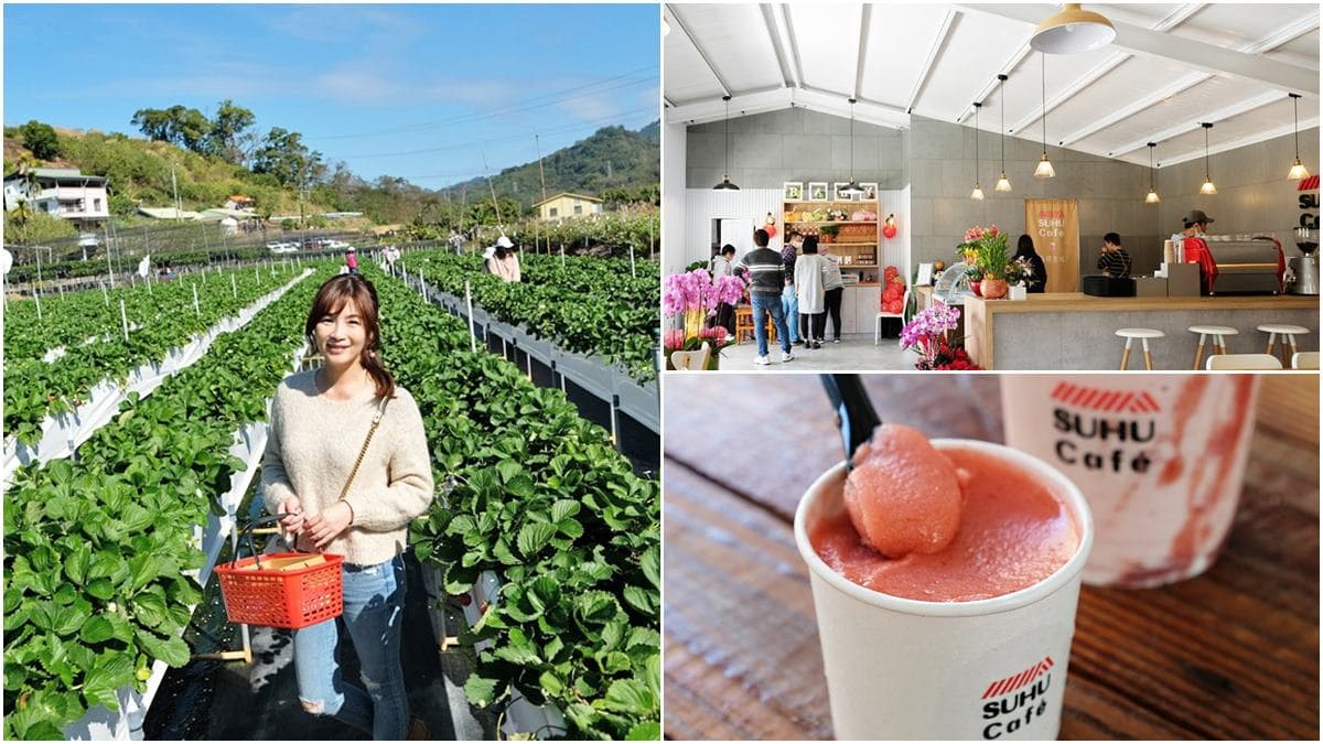 隱身在咖啡廳的草莓園！苗栗「韓系咖啡館」能採大湖草莓，還要點綿密雪酪冰