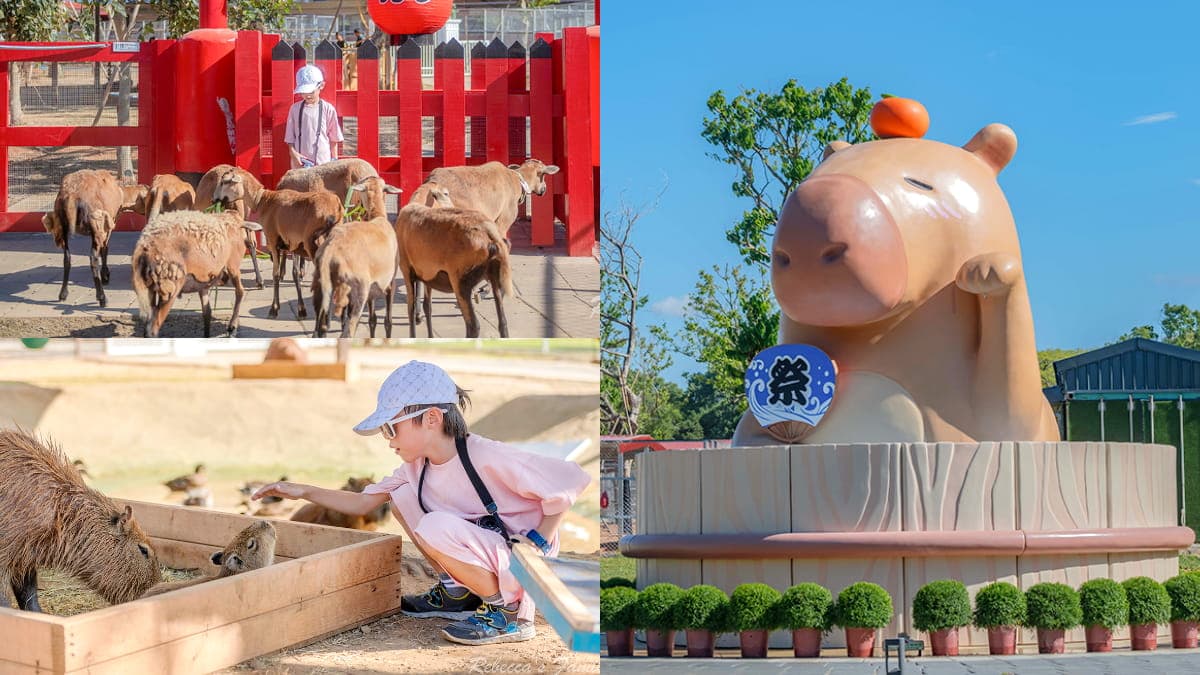 平日入園「最高省百元」！桃園人氣農場換新裝，搶拍超萌水豚雕像、餵小動物