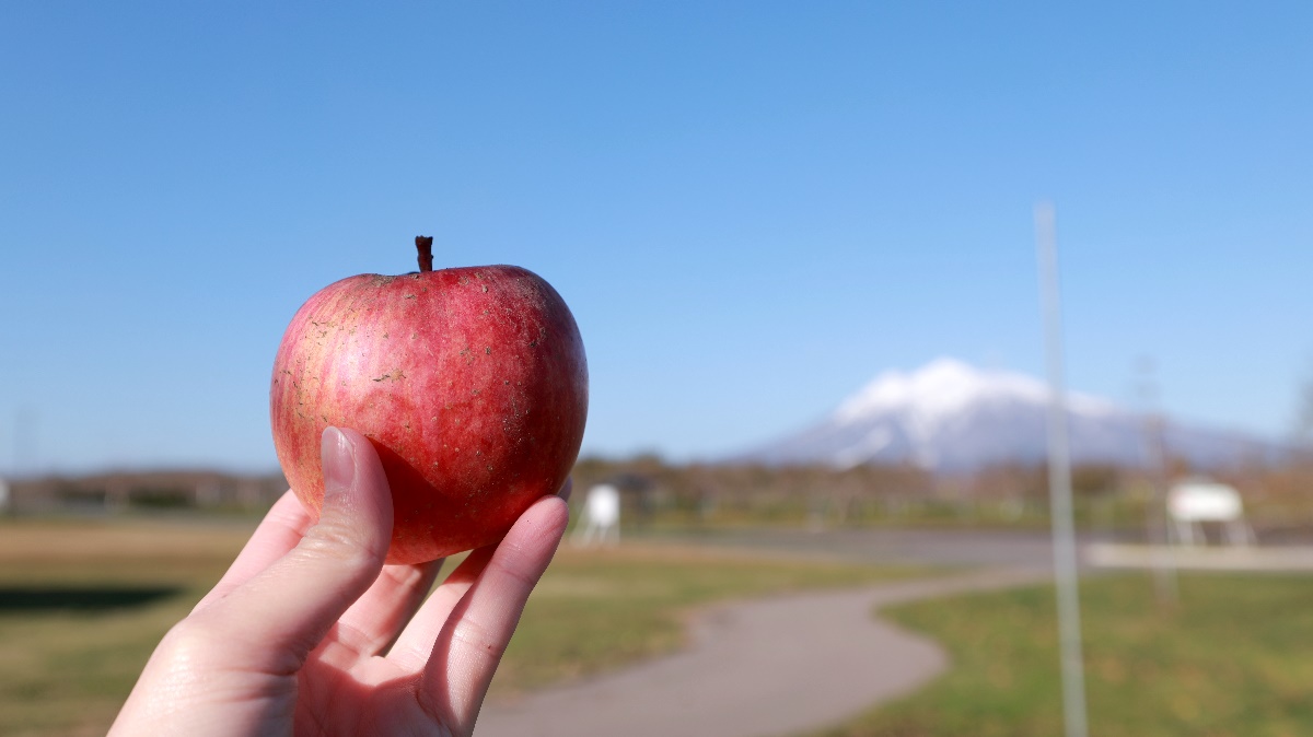 Hirosaki-Apple-Park