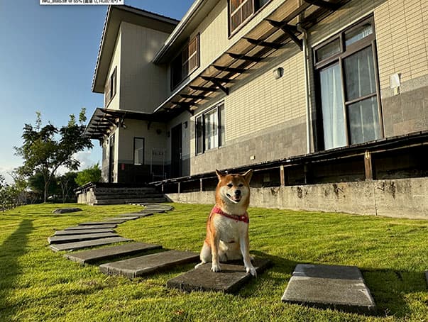 柯林小屋