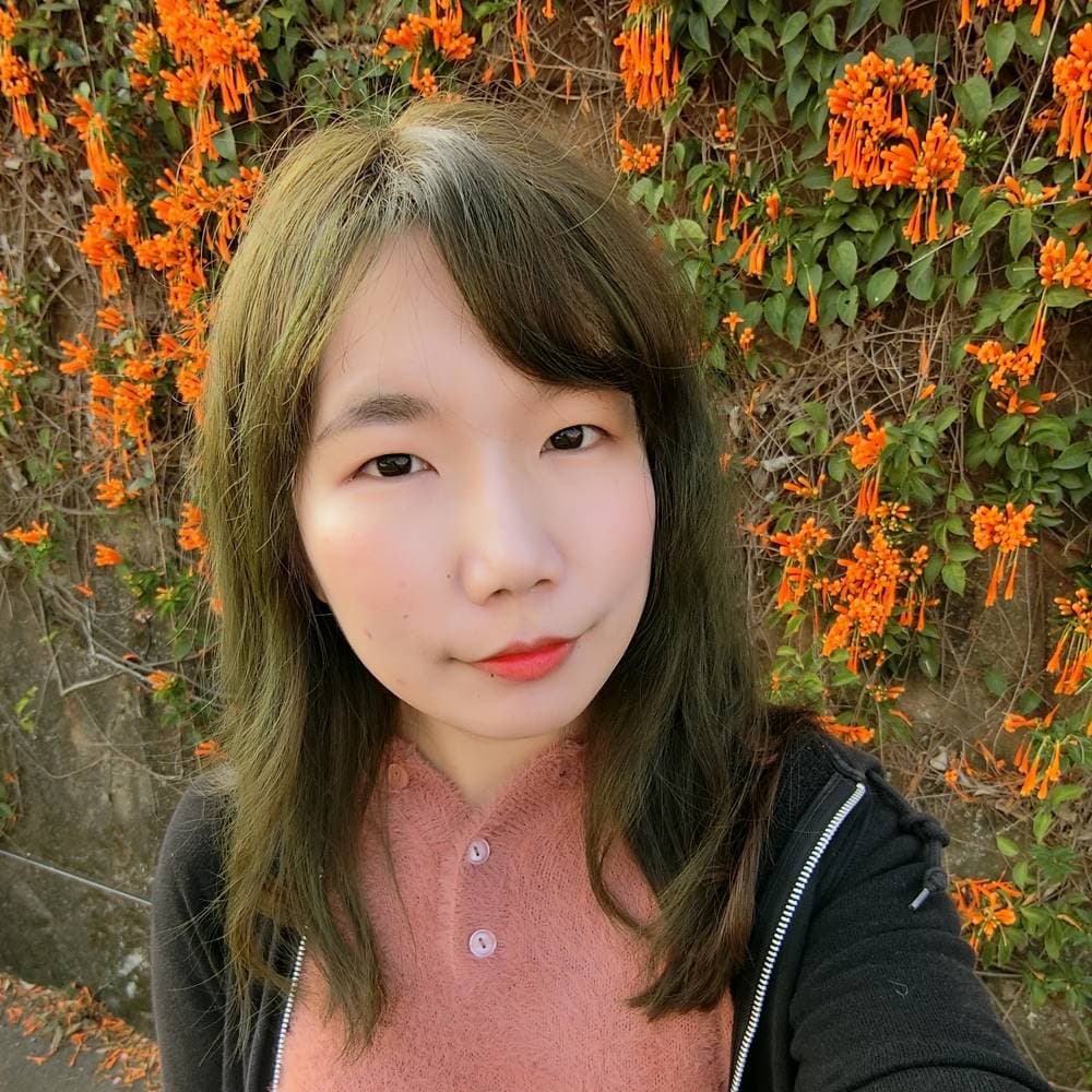 blogger avatar