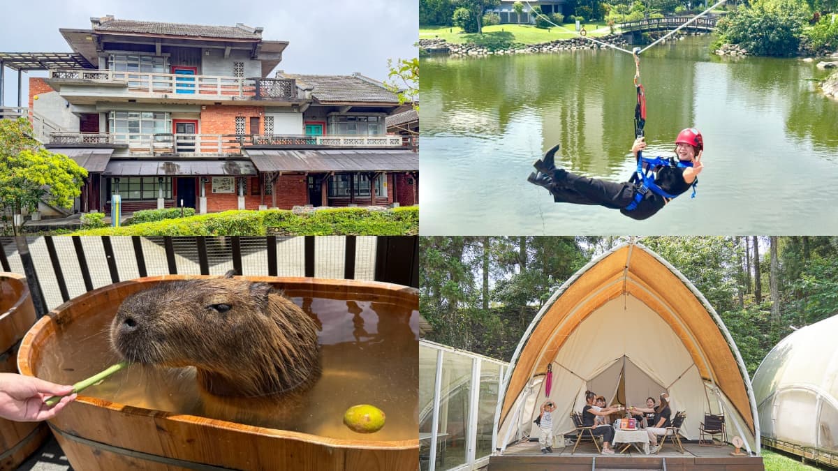 台灣「深度旅遊」住宿5選!溜滑索、餵水豚一站式玩透透,票選最愛抽住宿券